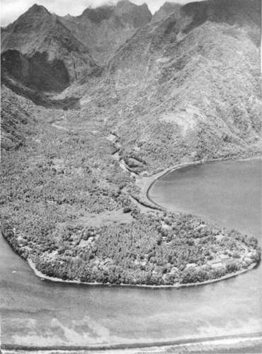 tautira1.jpg (31652 bytes)