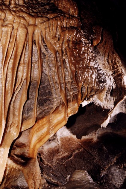 cavernapared.jpg (84262 bytes)