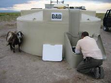 dad_th.jpg (7488 bytes)