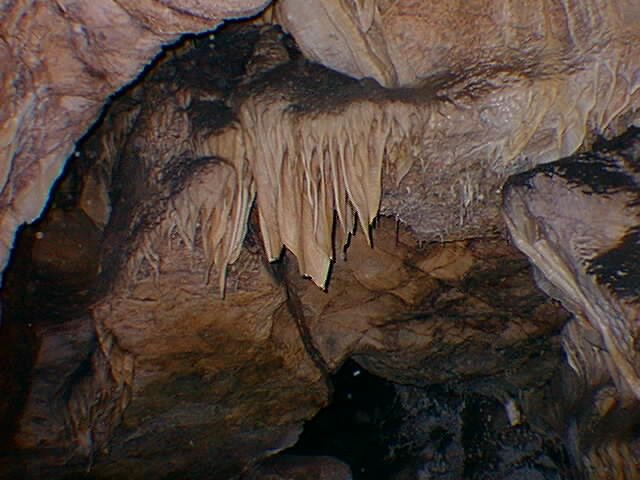 mar15_121.jpg (61667 bytes)