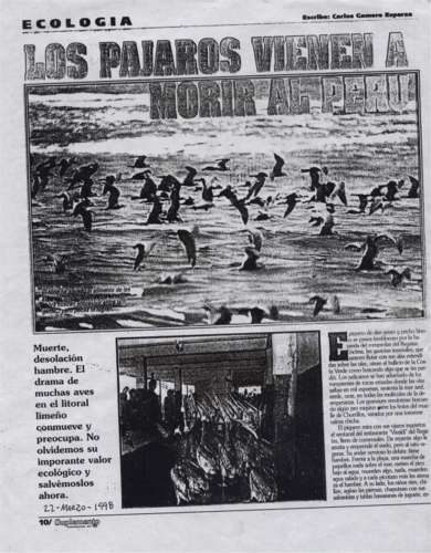 figura8a.jpg (39029 bytes)