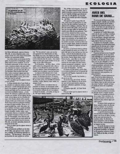 figura8b.jpg (41032 bytes)