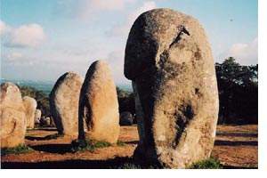 Fig10.jpg (11425 bytes)