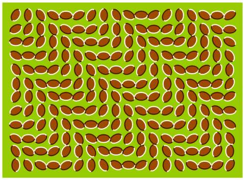 movida.jpg (45678 bytes)