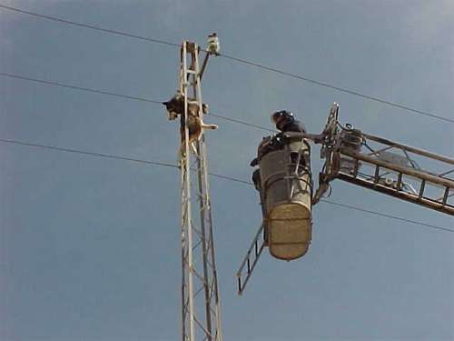 incidente10.jpg (13340 bytes)