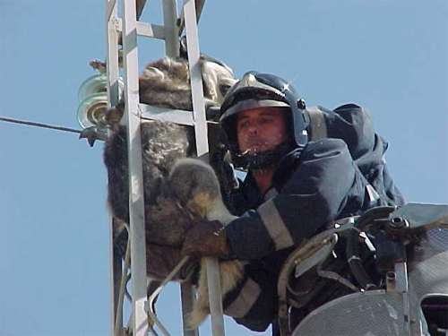 incidente12.jpg (19963 bytes)