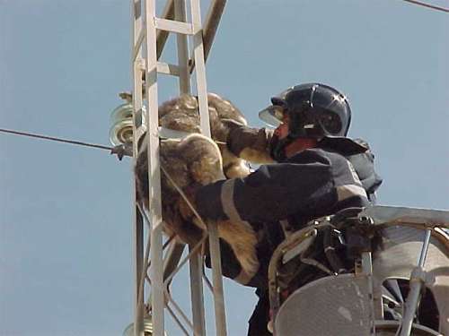 incidente13.jpg (18842 bytes)