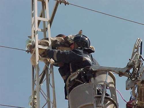 incidente14.jpg (20427 bytes)