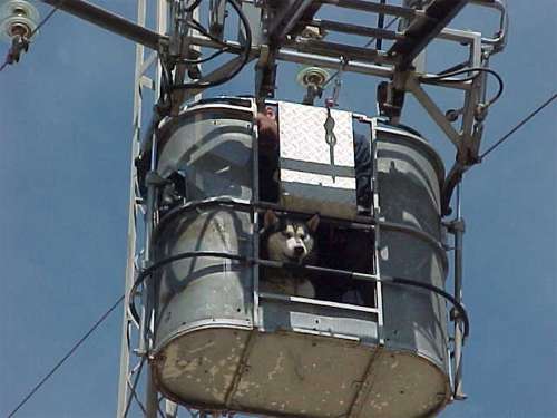 incidente17.jpg (24700 bytes)