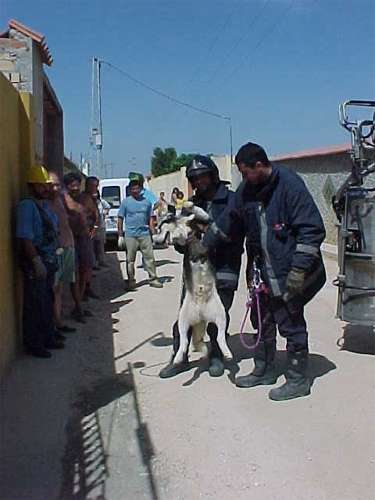 incidente18.jpg (22720 bytes)