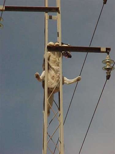 incidente4.jpg (13468 bytes)