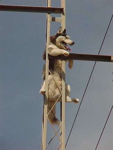 incidente6.jpg (13518 bytes)