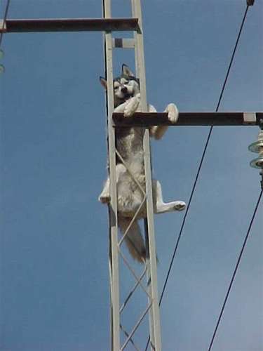 incidente7.jpg (13441 bytes)