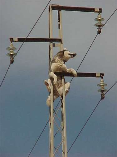 incidente8.jpg (14193 bytes)