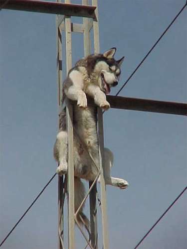 incidente9.jpg (14662 bytes)