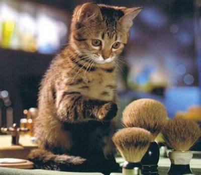 image010.jpg (20405 bytes)