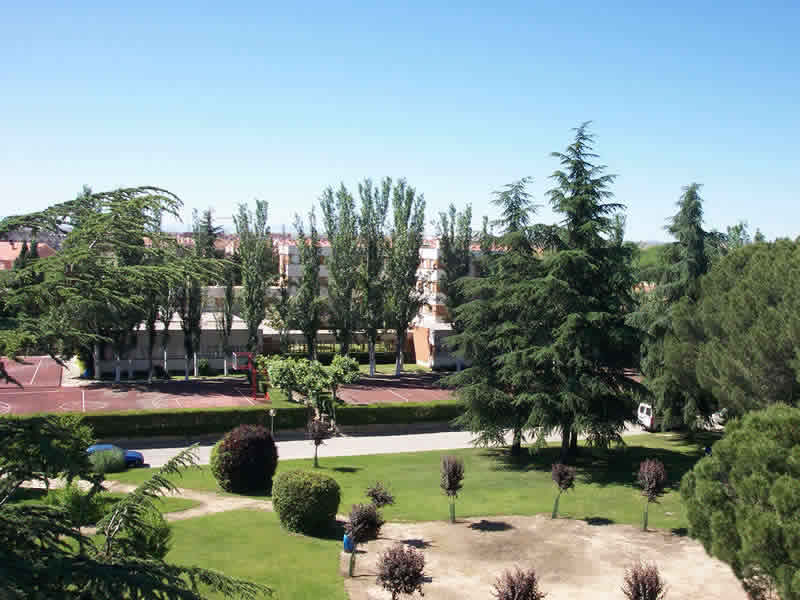 vista.jpg (45038 bytes)