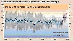 palo.jpg (18589 bytes)