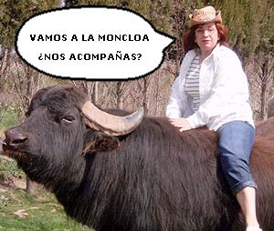 bufalo1.jpg (20113 bytes)