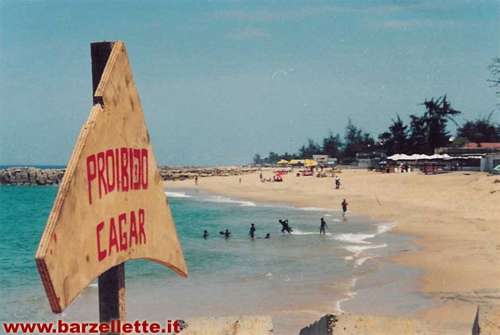 espana.jpg (17429 bytes)