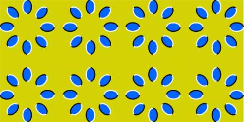 flores.jpg (19893 bytes)