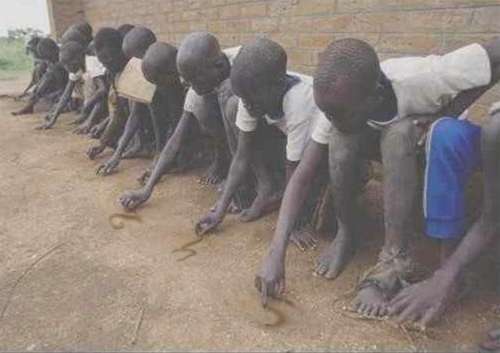 molestia1b.jpg (19604 bytes)