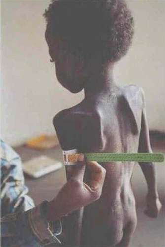 molestia3b.jpg (12511 bytes)