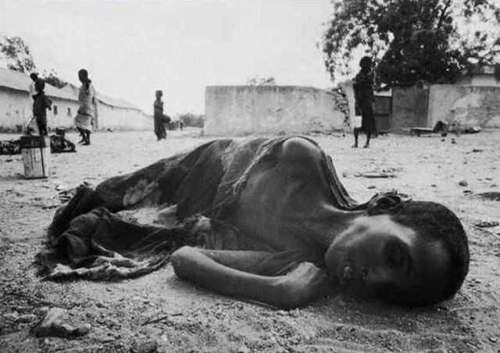 molestia7b.jpg (26599 bytes)