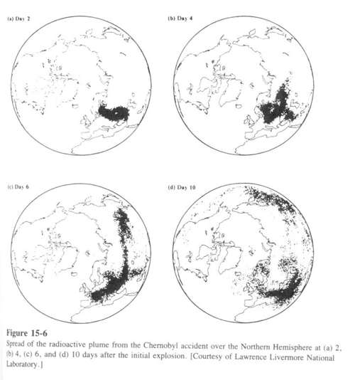 imagen011.jpg (28372 bytes)