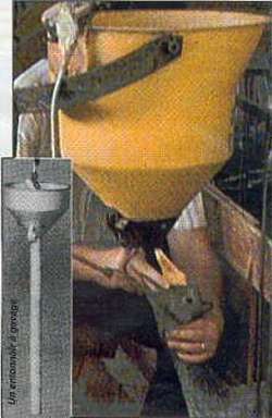 foie04.jpg (15985 bytes)