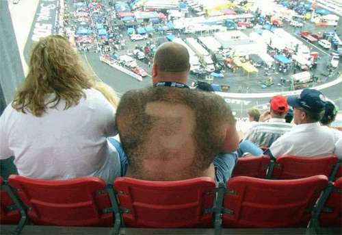 kingkong.jpg (26794 bytes)