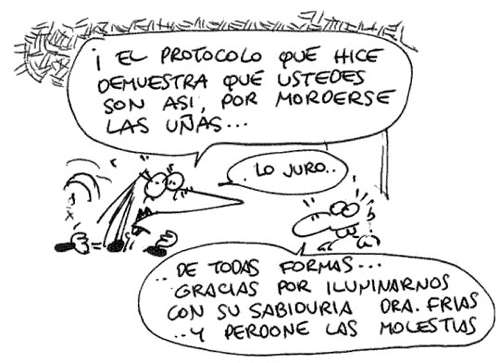 talidomida023.jpg (29787 bytes)