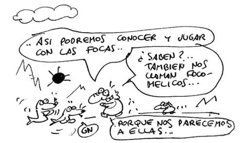 talidomida06.jpg (23943 bytes)