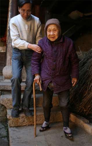 pie02.jpg (19639 bytes)