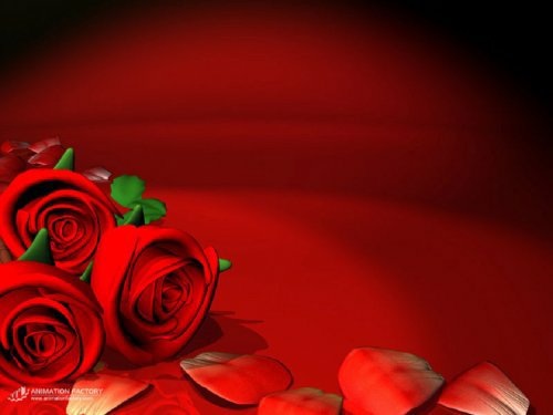 foto1.jpg (21047 bytes)