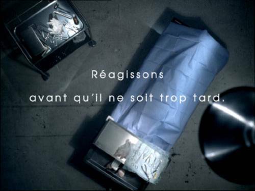 foto10.jpg (20842 bytes)