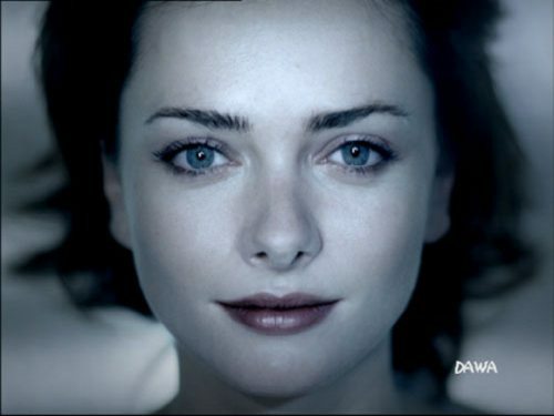 foto2.jpg (20140 bytes)