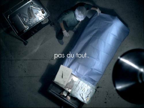 foto9.jpg (20696 bytes)