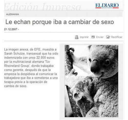 gazapo0.jpg (20548 bytes)