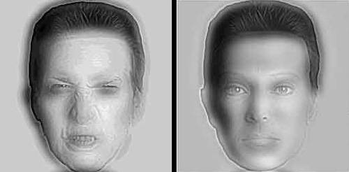 ilusion.jpg (18040 bytes)