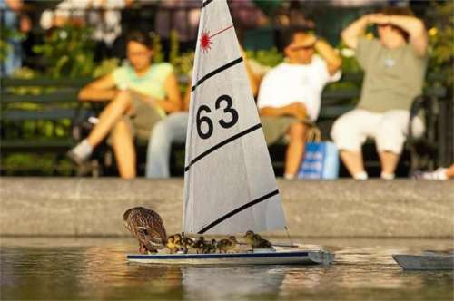 insolito34b.jpg (22229 bytes)