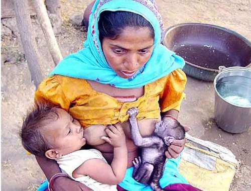 solidaridadb.jpg (33344 bytes)