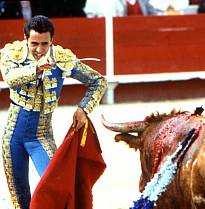 toros10.jpg (18627 bytes)