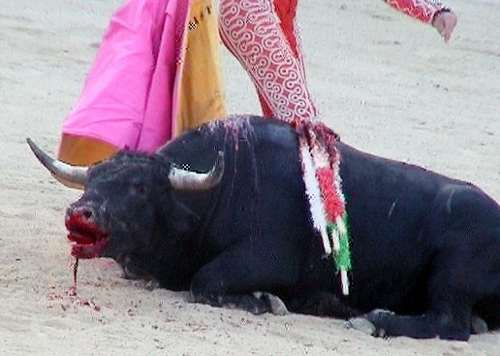 toros22.jpg (22094 bytes)