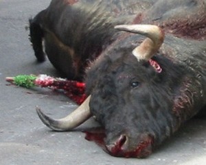 toros4.jpg (21081 bytes)