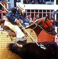 toros5.jpg (21145 bytes)