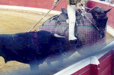 toros6.jpg (37467 bytes)
