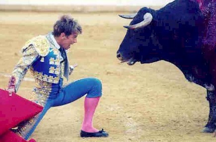 toros8.jpg (36589 bytes)