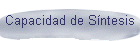 Capacidad de S�ntesis